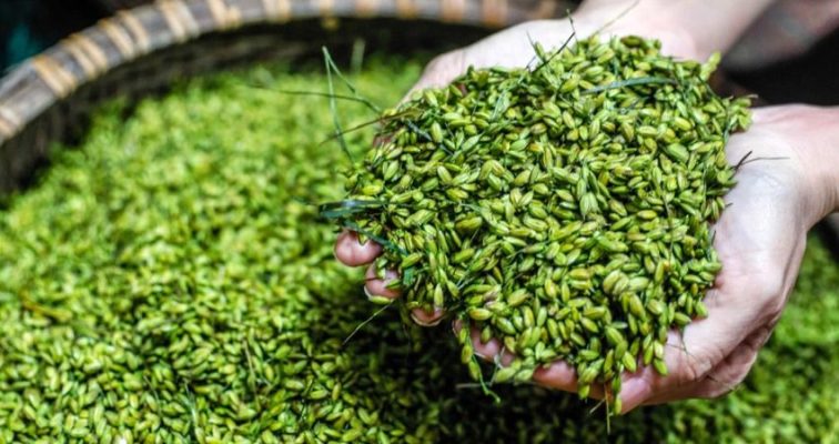 Ý nghĩa của cốm trong văn hóa