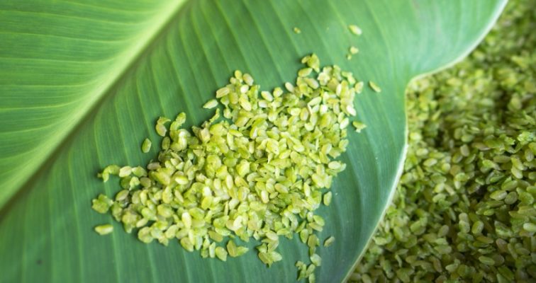 Cốm tươi