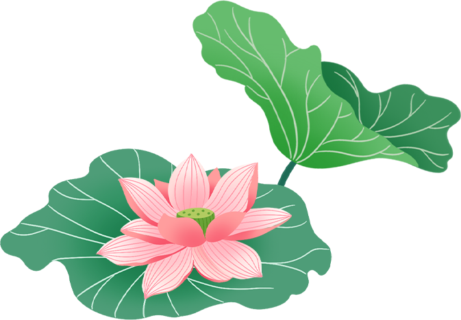 hoa sen