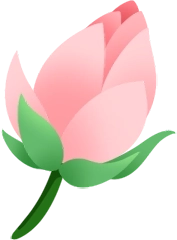 nụ sen