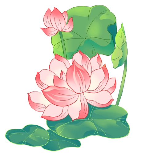 lotus-left-mb