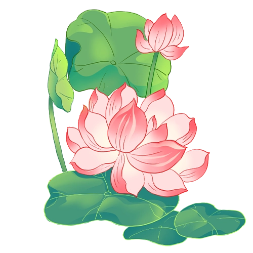 lotus-right-mb
