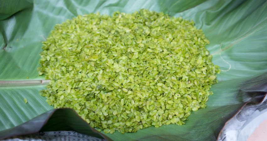 Quy trình làm cốm