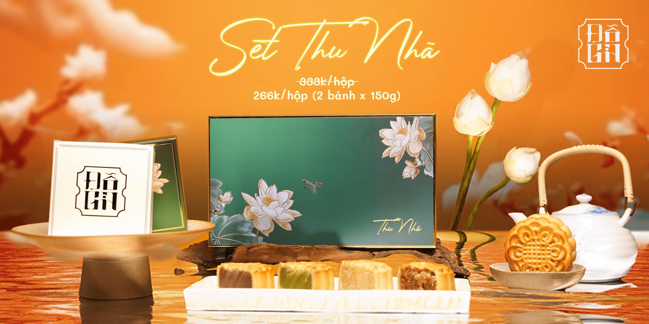 Set Thu Nhã
